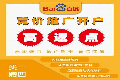 百度搜索推广案例集锦：实战技巧与策略解析